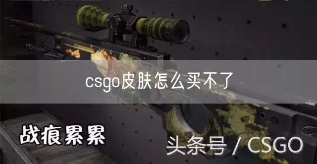 csgo皮肤怎么买不了