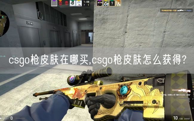  csgo枪皮肤在哪买,csgo枪皮肤怎么获得?