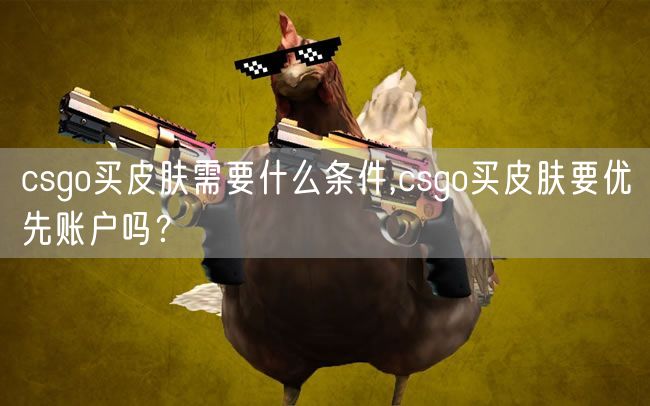 csgo买皮肤需要什么条件,csgo买皮肤要优先账户吗？