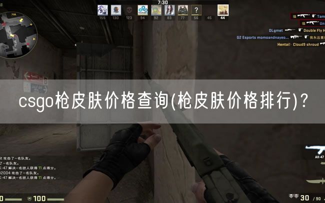 csgo枪皮肤价格查询(枪皮肤价格排行)？