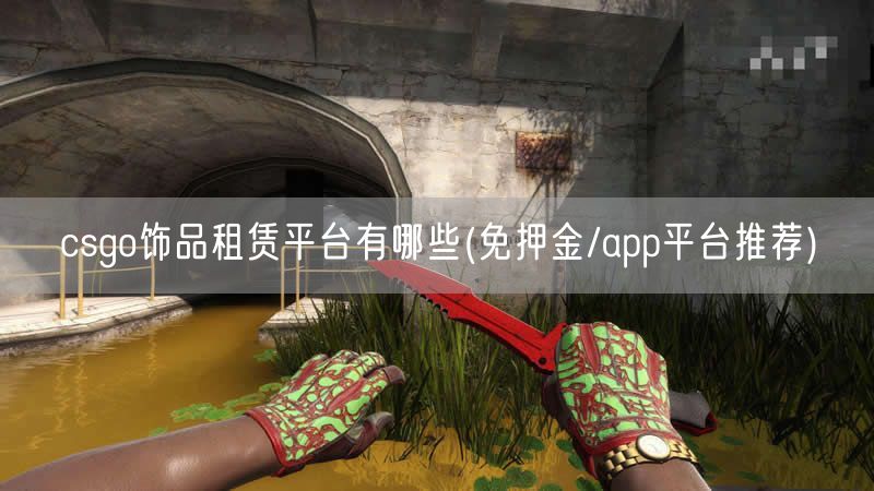 csgo饰品租赁平台有哪些(免押金/app平台推荐)