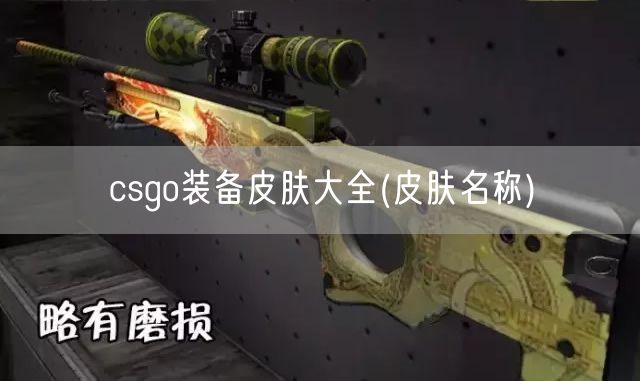 csgo装备皮肤大全(皮肤名称)