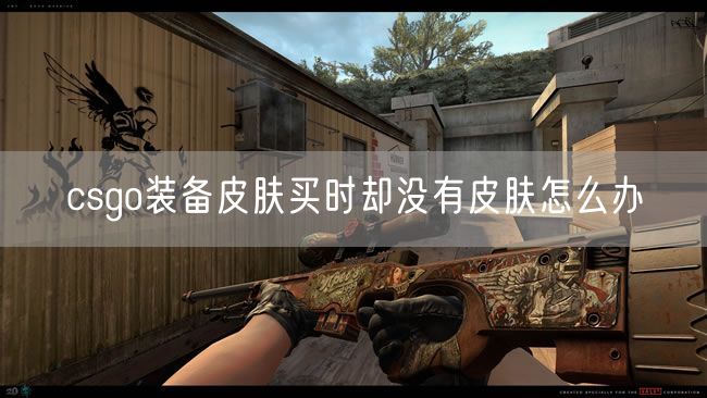 csgo装备皮肤买时却没有皮肤怎么办