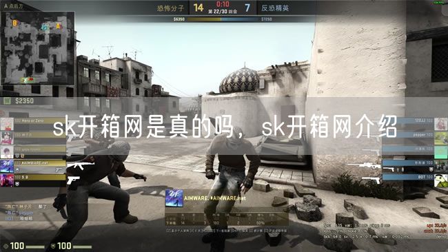 skcsgo开箱网是真的吗，skcsgo开箱网介绍