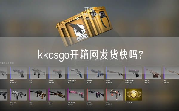 kkcsgo开箱网发货快吗?