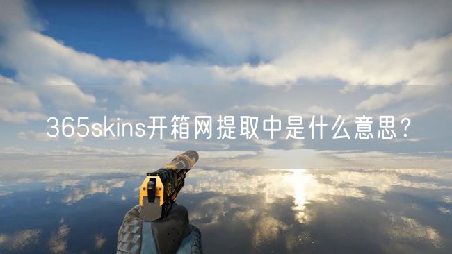 365skins开箱网提取中是什么意思？