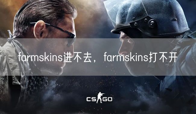 farmskins进不去,farmskins打不开
