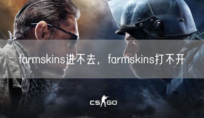 farmskins进不去，farmskins打不开