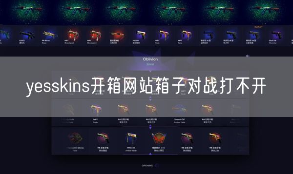 yesskins开箱网站箱子对战打不开