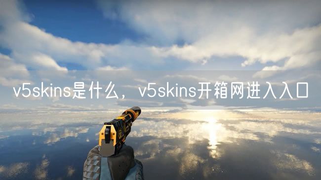 v5skins是什么，v5skins开箱网进入入口