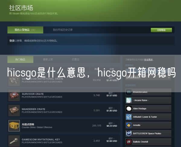 hicsgo是什么意思，hicsgo开箱网稳吗