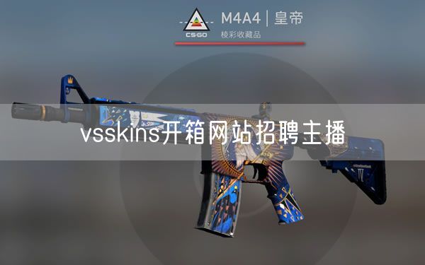 vsskins开箱网站招聘主播