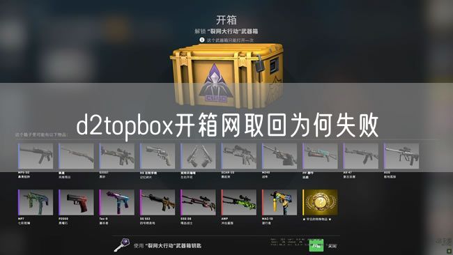 d2topbox开箱网取回为何失败