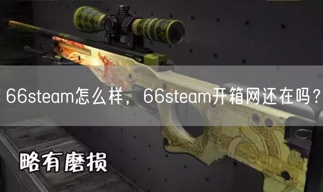 66steam怎么样，66steam开箱网还在吗？