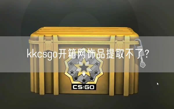 kkcsgo开箱网饰品提取不了？