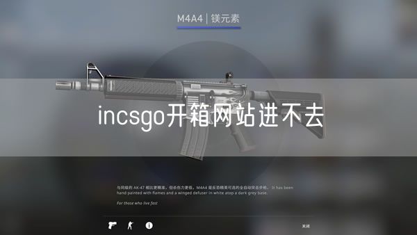 incsgo开箱网站进不去