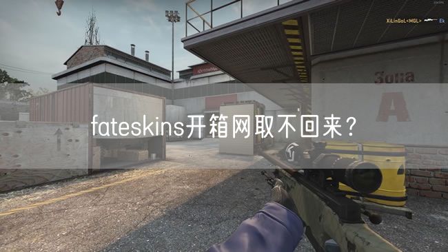 fateskins开箱网取不回来？