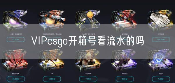 VIPcsgo开箱号看流水的吗