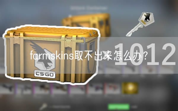 farmskins取不出来怎么办?