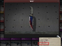 csgo皮肤模板查询网站，csgo皮肤英文名字查询网站